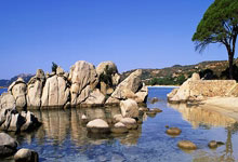 爱游戏体育-包含浙江稠州发布备战花絮;集结日绝杀压哨;亚冠任务艰巨;训练强度显著提升的词条