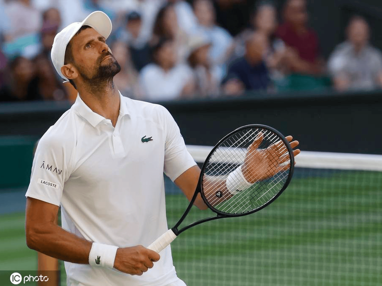 德约科维奇连续十五场比赛得分超过逆转,雄鹿挑战极限!的简单介绍 德约科维奇连续十五场比赛得分超过逆转,雄鹿挑战极限!的简单介绍